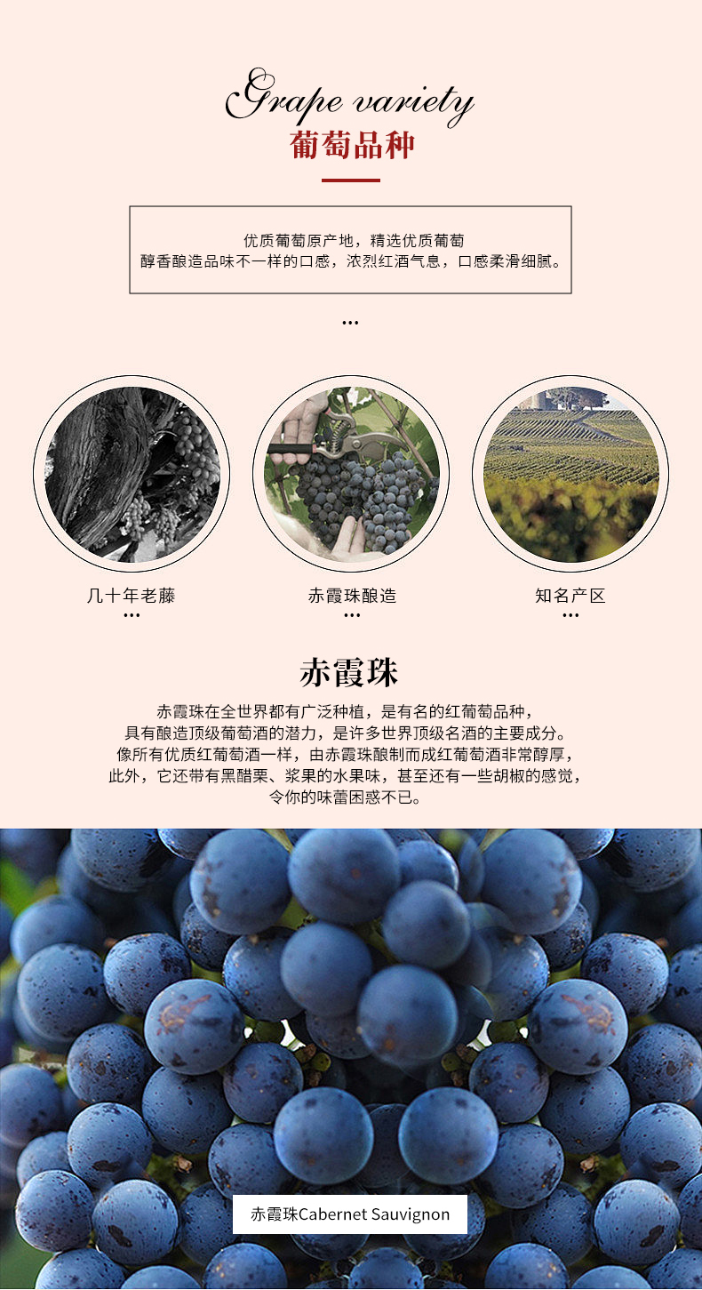 免费看片在线观看多莉详情页_02.jpg
