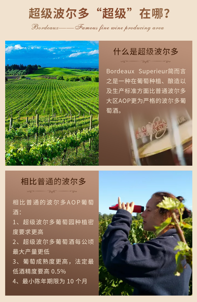 免费看片在线观看吉娜详情页_02.jpg