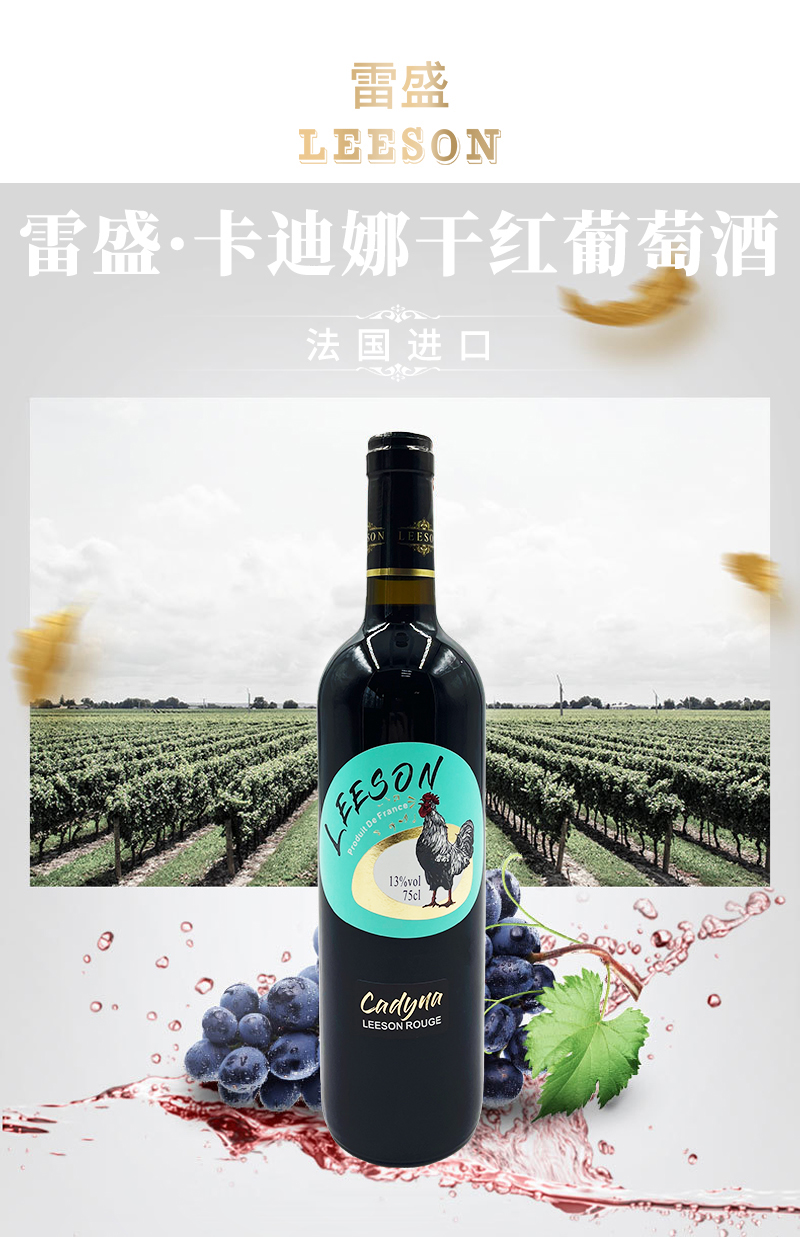 免费看片在线观看卡迪娜详情页_01.jpg