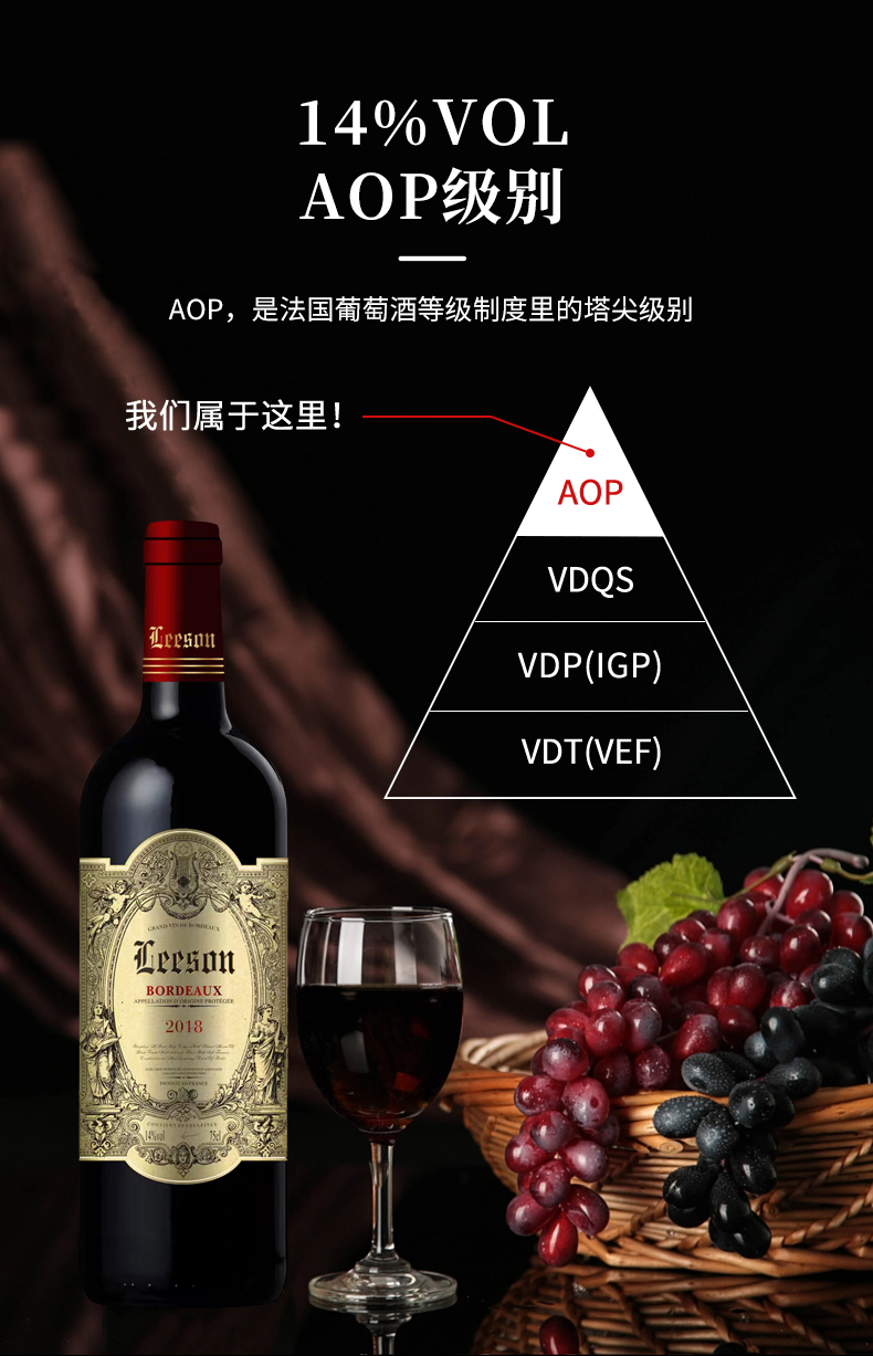免费看片在线观看·汉妮切片_04.jpg