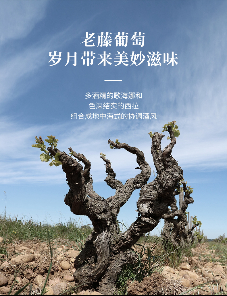 免费看片在线观看·汉妮切片_09.jpg