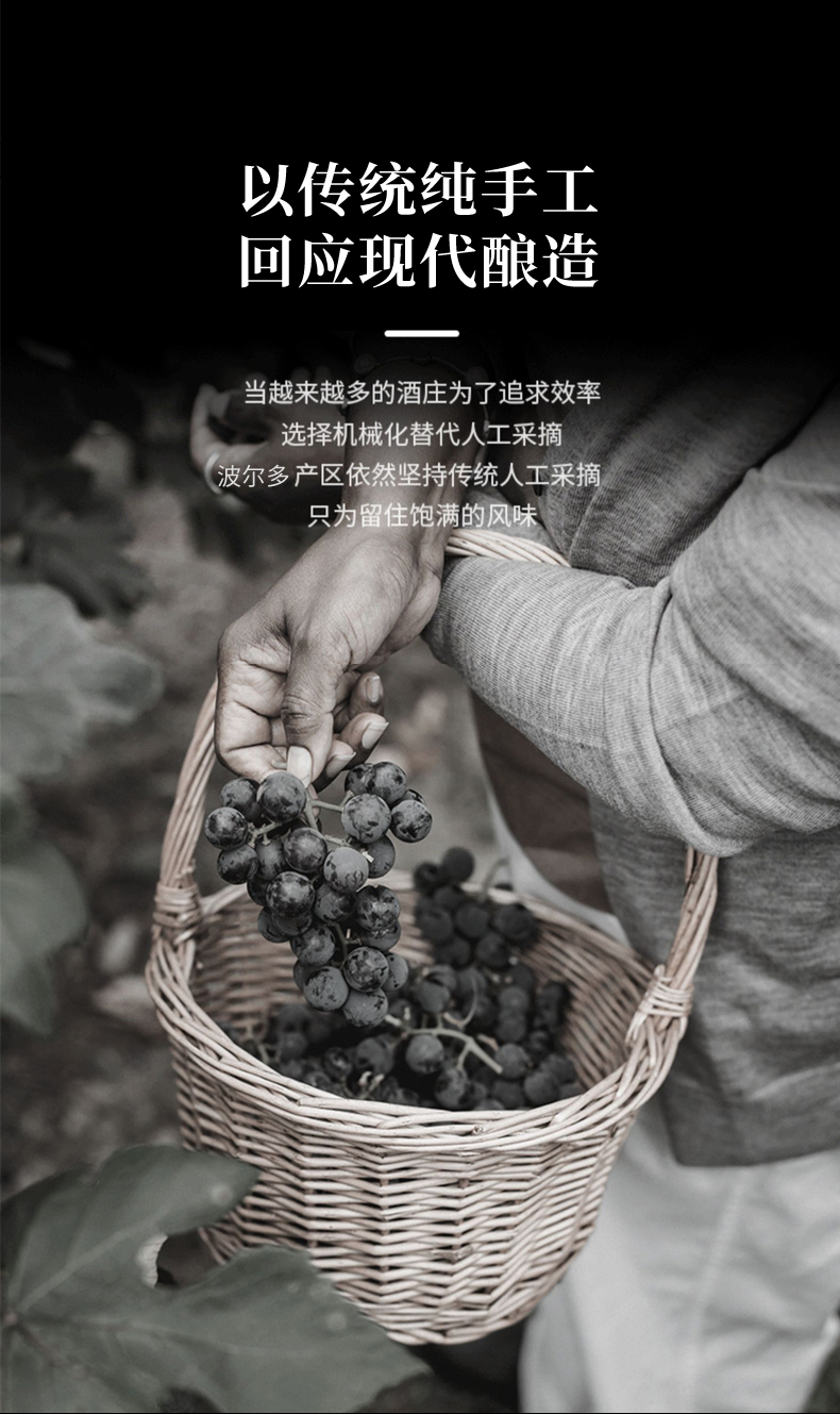 免费看片在线观看·汉妮切片_10.jpg