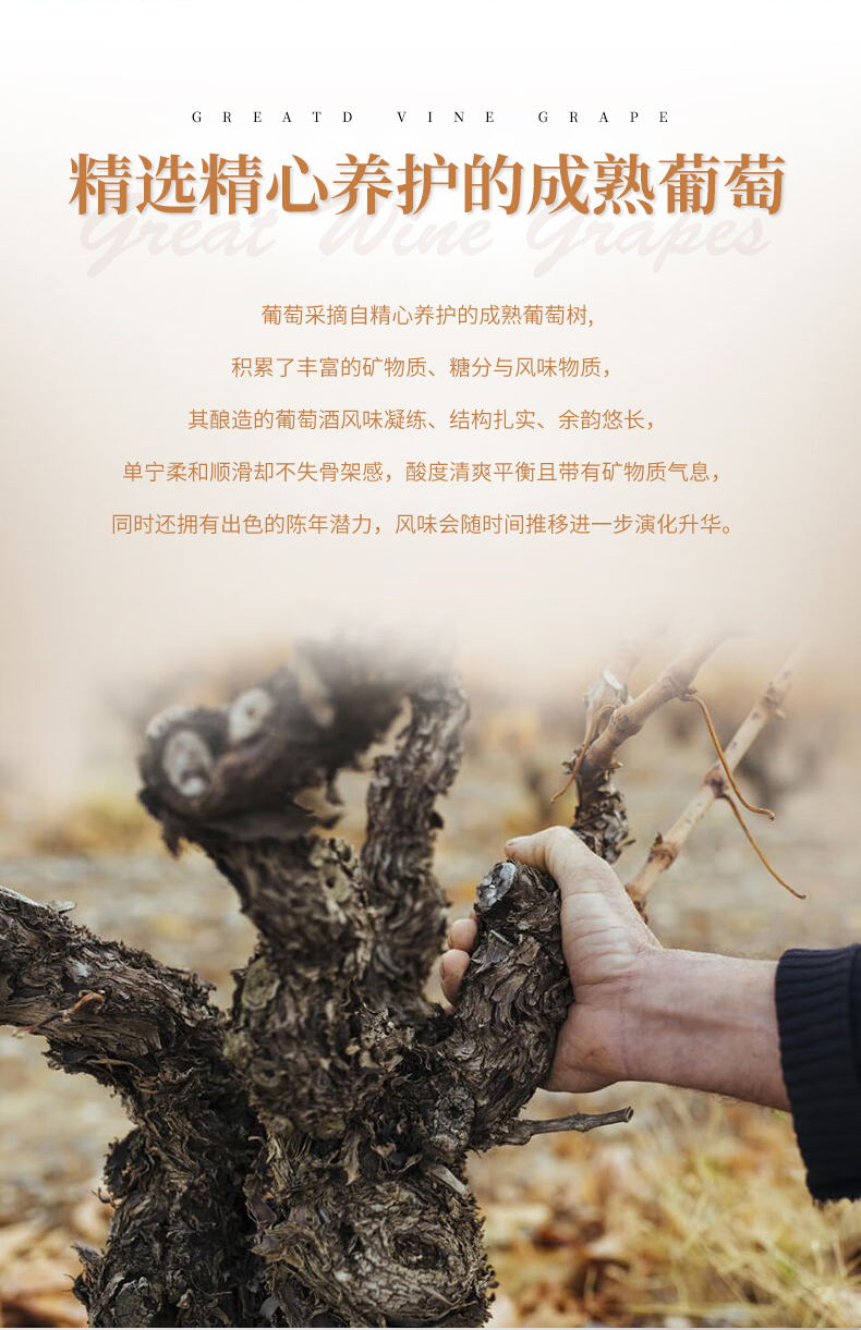免费看片在线观看·山谷老藤切片_07.jpg