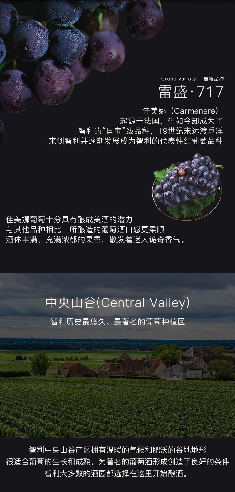免费看片在线观看717智利特级佳美娜干红葡萄酒(图4)