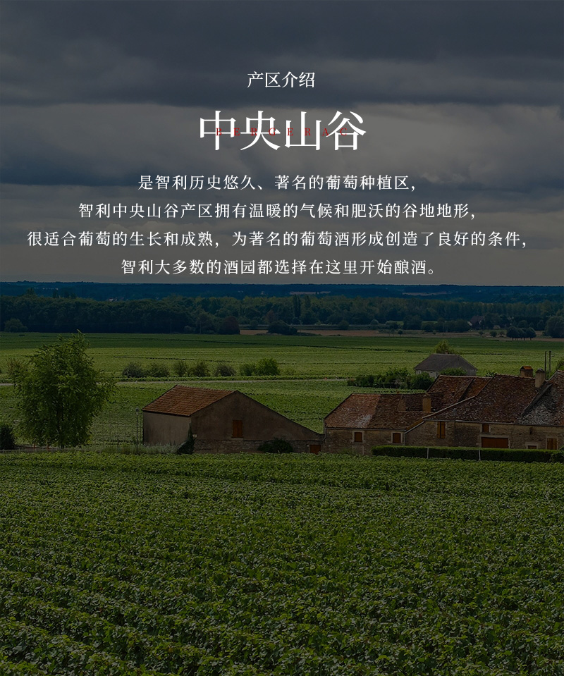 免费看片在线观看红酒33L大瓶蜡封1.5升智利干红葡萄酒(图4)