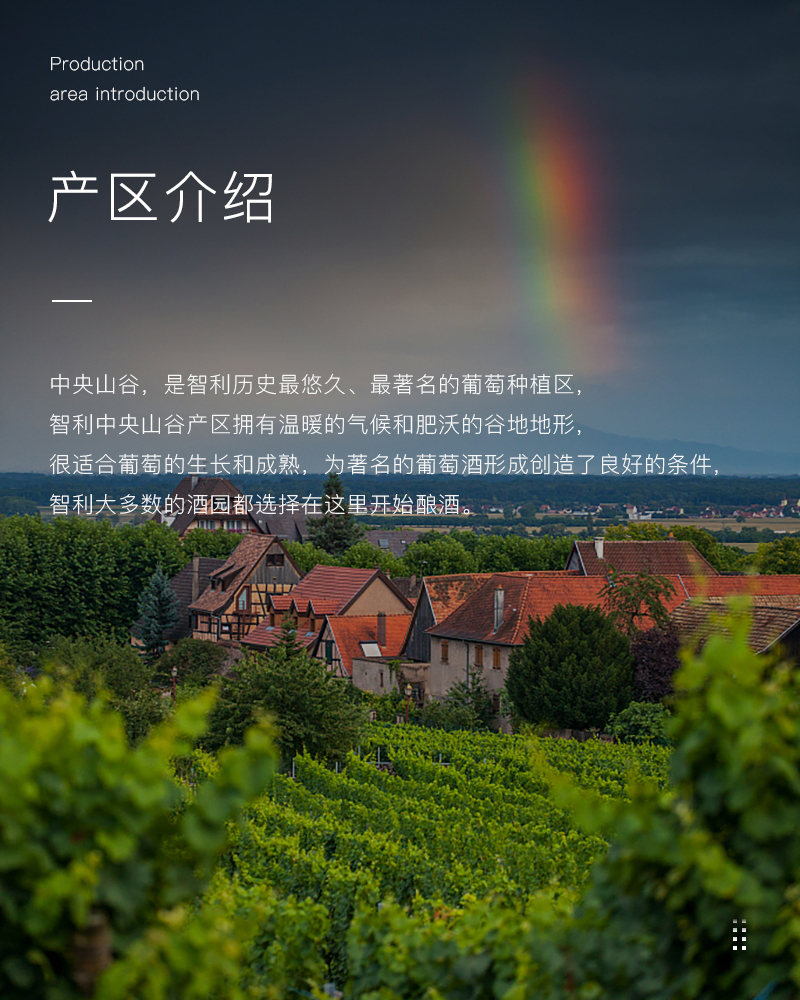 免费看片在线观看红酒429智利进口美露干红葡萄酒(图3)