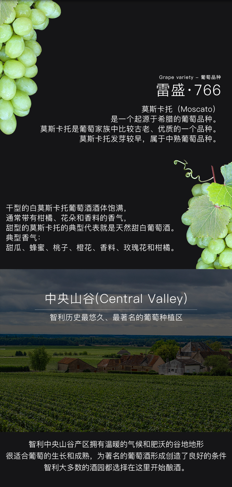 免费看片在线观看红酒766智利莫斯卡托甜白葡萄酒(图4)